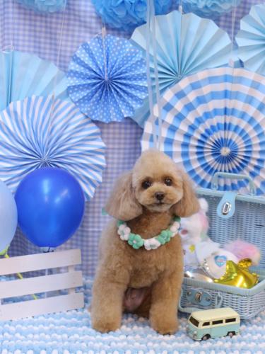 20231105バーディーくん